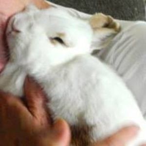 Meet your Posher, Becky